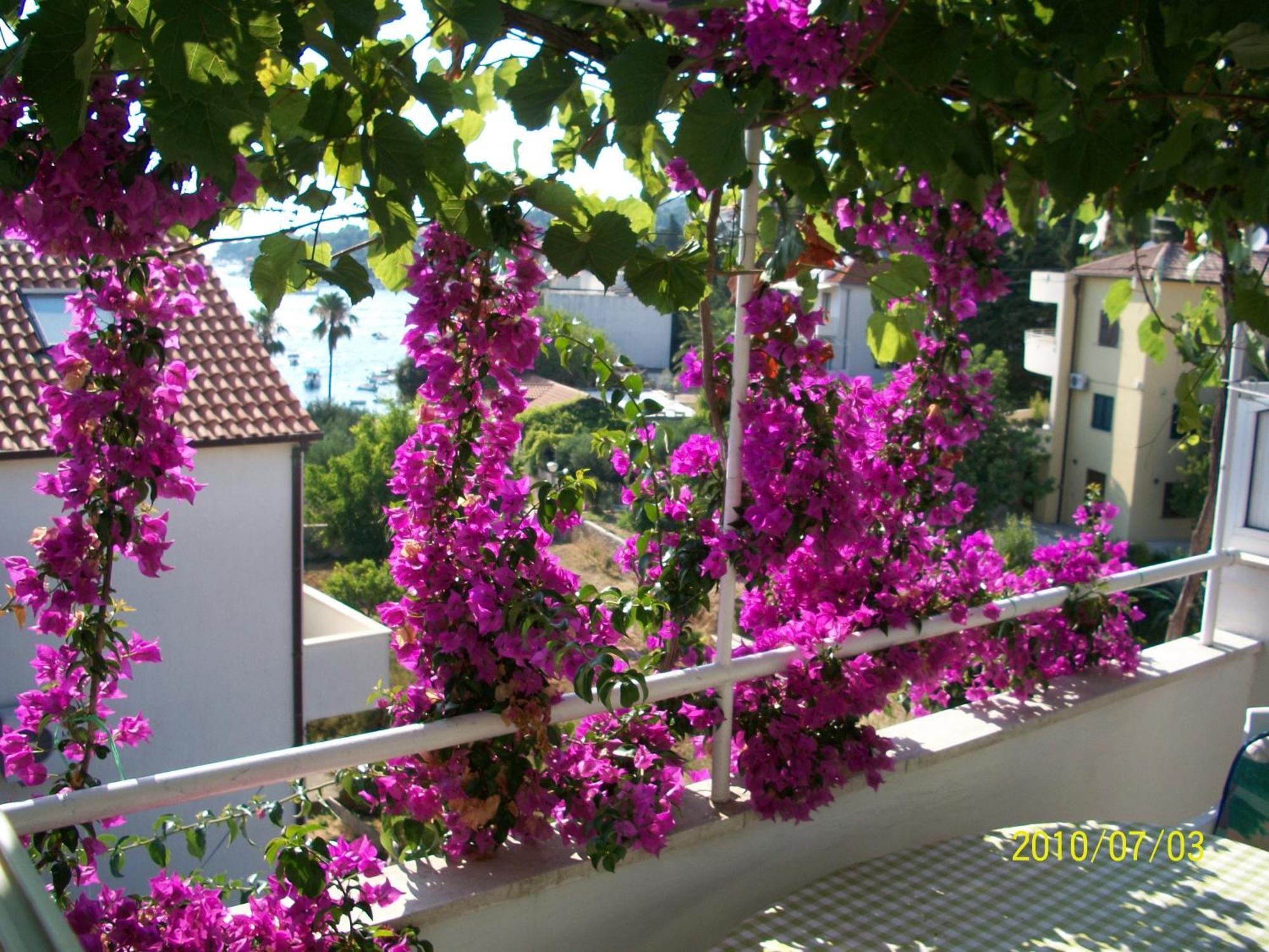 Apartmani Surlin Hvar Town Exterior photo