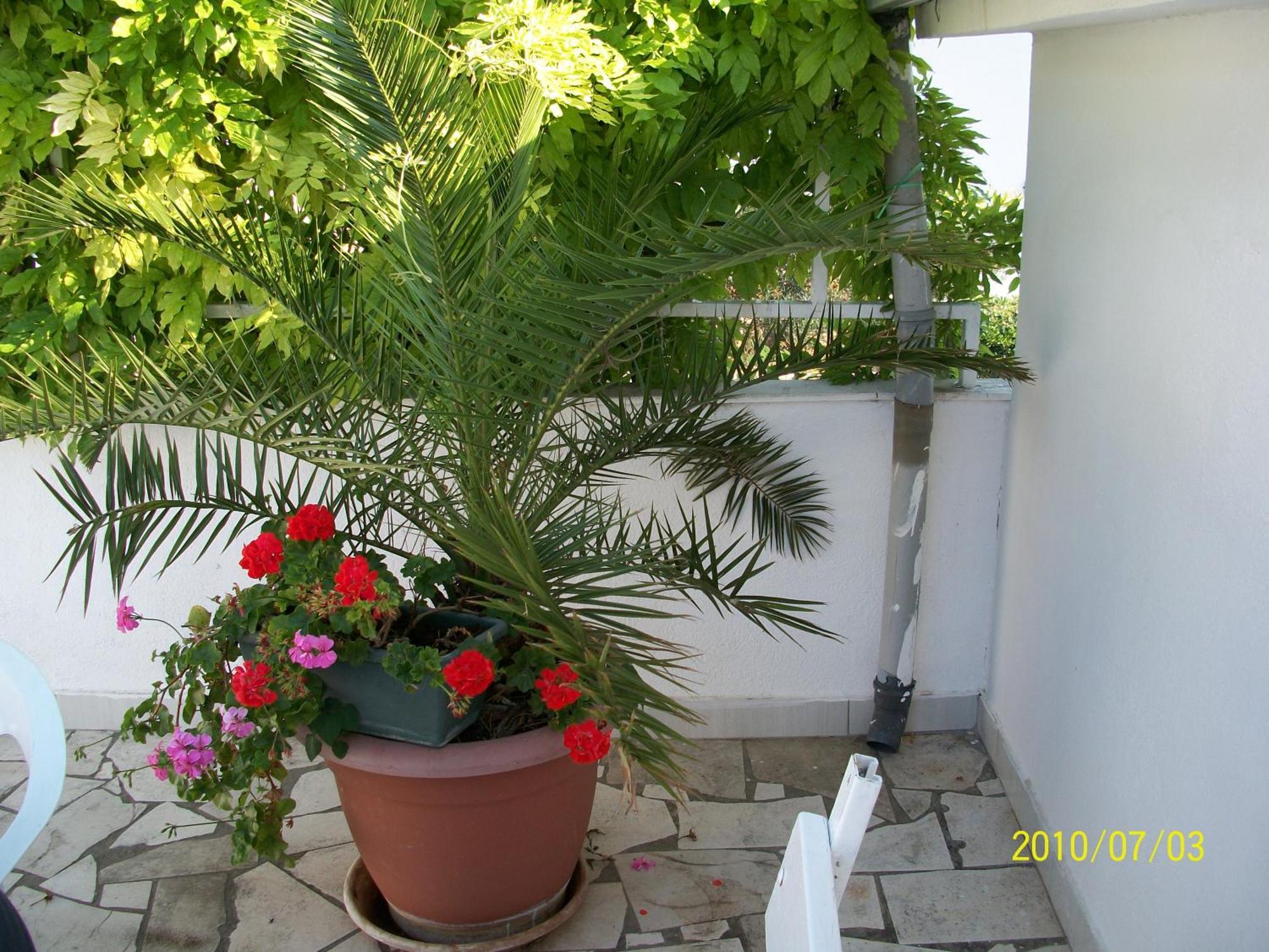 Apartmani Surlin Hvar Town Exterior photo