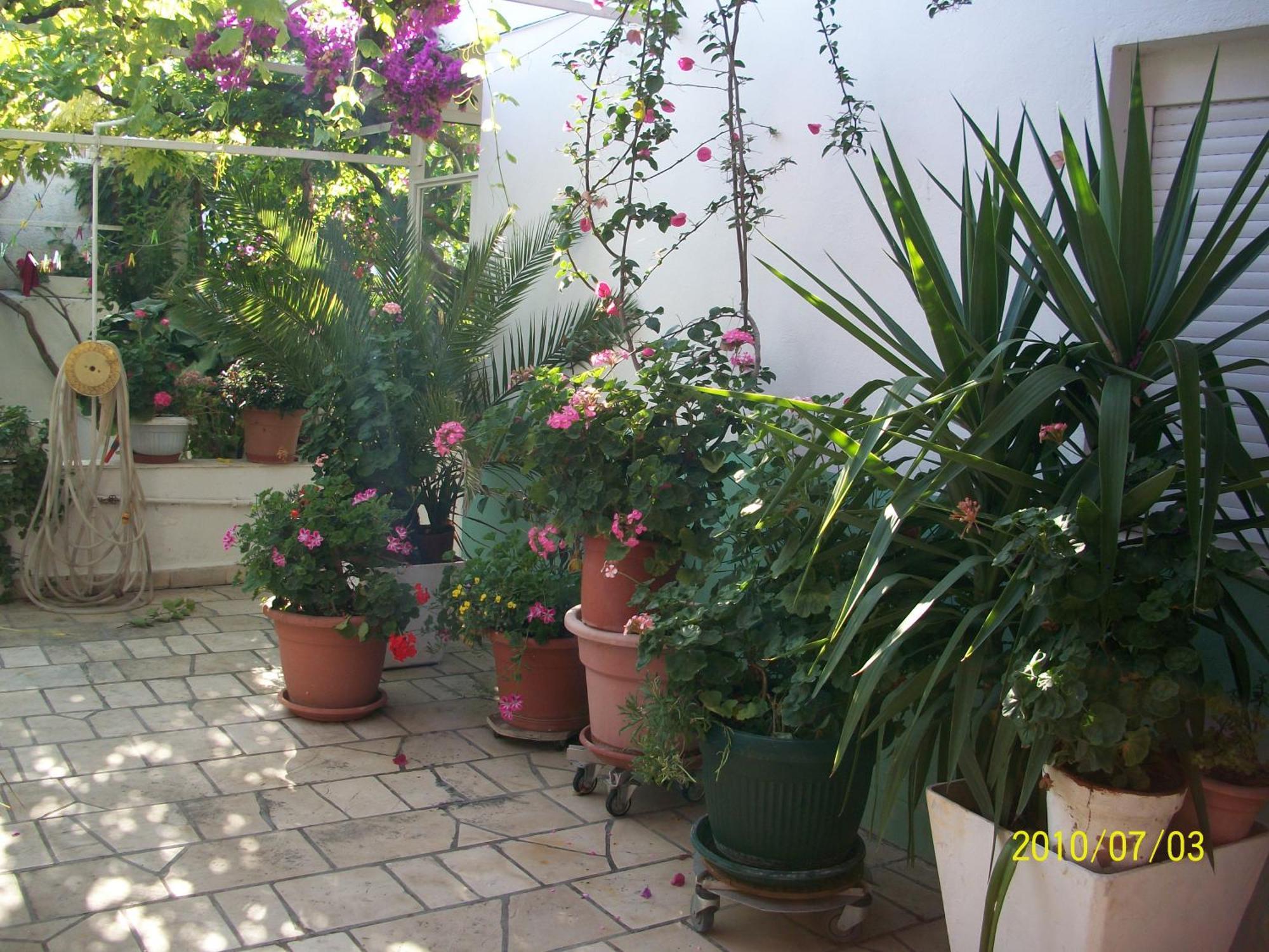 Apartmani Surlin Hvar Town Exterior photo
