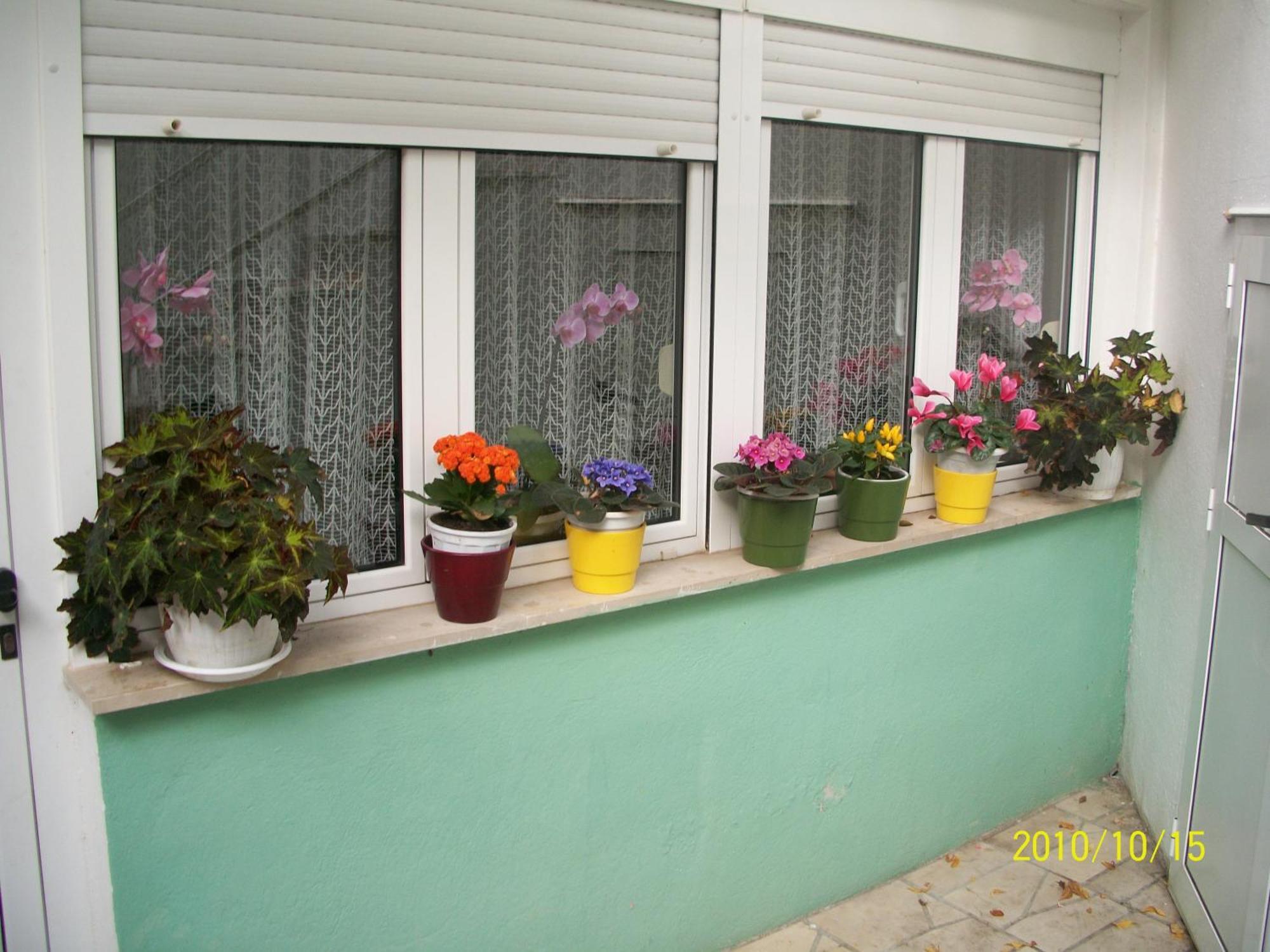 Apartmani Surlin Hvar Town Exterior photo